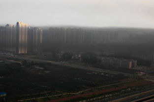 巴斯拉港