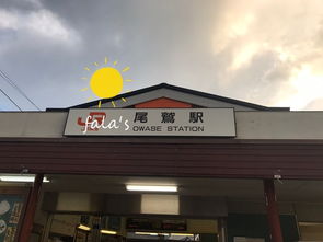 尾鹫