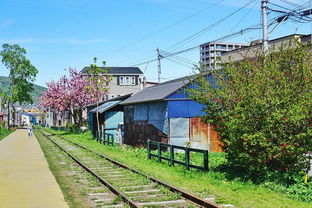 小樽市