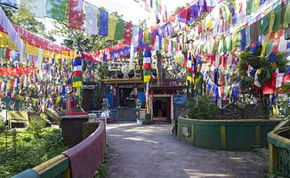 大吉岭