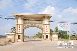 柴桢