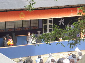 德岛