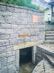 福井