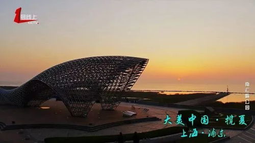 东海
