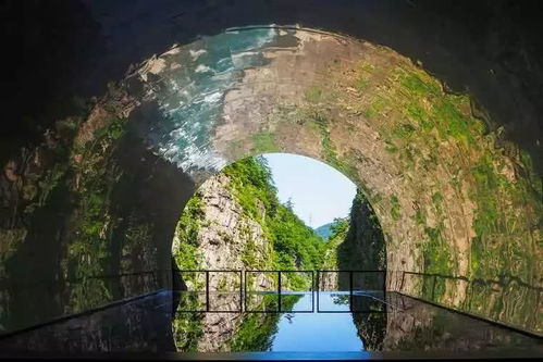 清津
