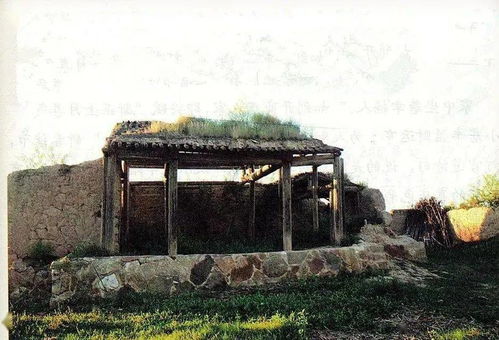 安东