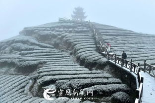 沙道