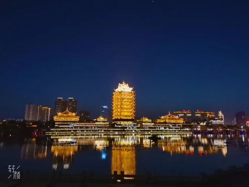 图里