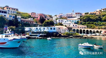 乌斯蒂卡岛