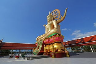 苏梅