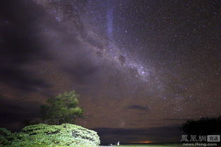 埃利奥特夫人岛