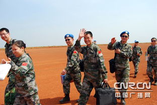 瓦乌
