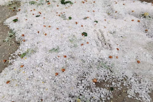 奥兰治机场航空气象处