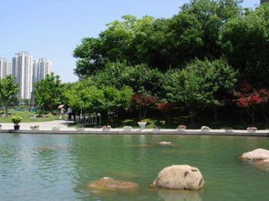 湖滨公园