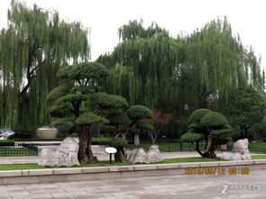 大明湖公园