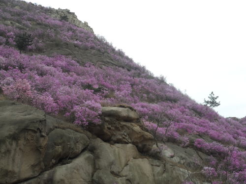 大珠山风景区