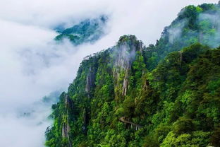 钓源景区