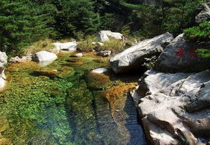 泰礴顶景区