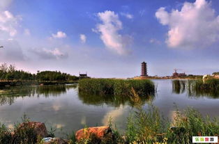 少海湿地公园