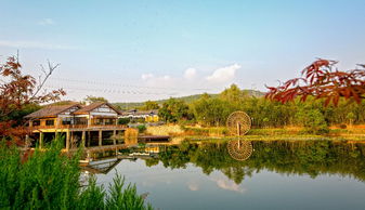 上窑森林公园