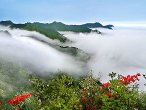 井冈山风景区