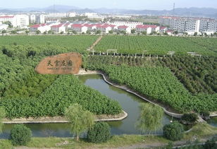 天宫庄园