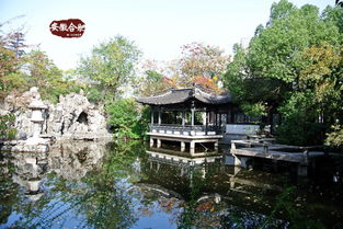 中国包公园