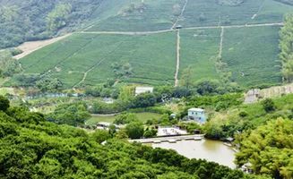 绿野山庄