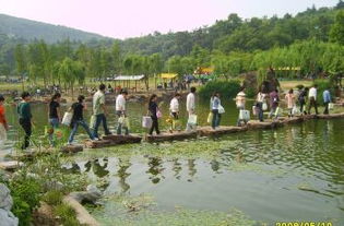 龙头渚风景区