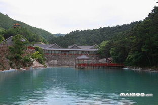 九龙山国家森林公园