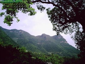 五磊山风景区