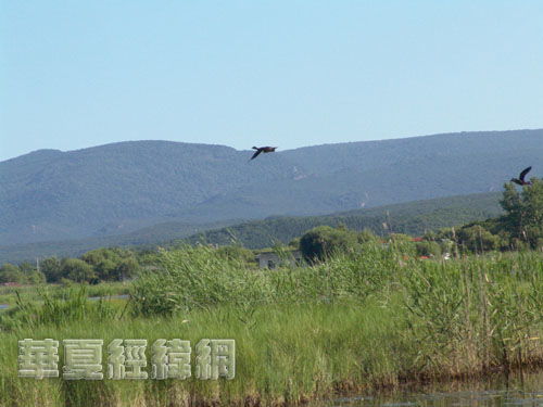 紫菱湖生态园