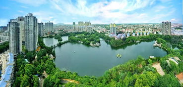 滨湖公园