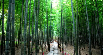 竹洞天风景区