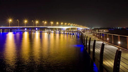 龙子湖公园