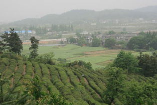 盆山度假村