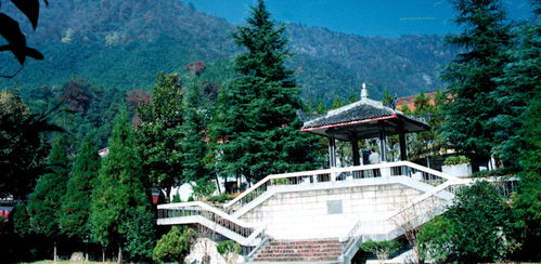 天目山风景区