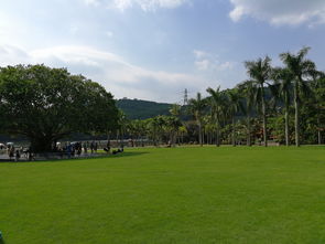 仙湖植物园