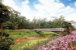 广西药用植物园