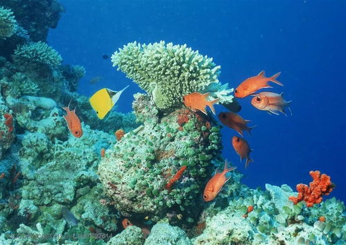 海底世界