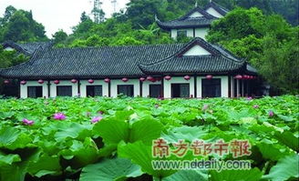 金鹰山庄