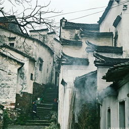 诸葛八卦村