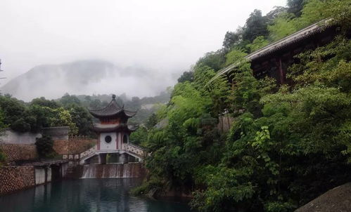 温州五美瓯园