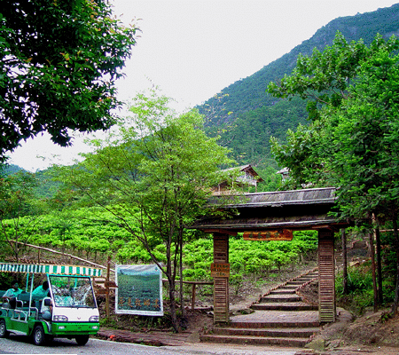 姑婆山国家森林公园