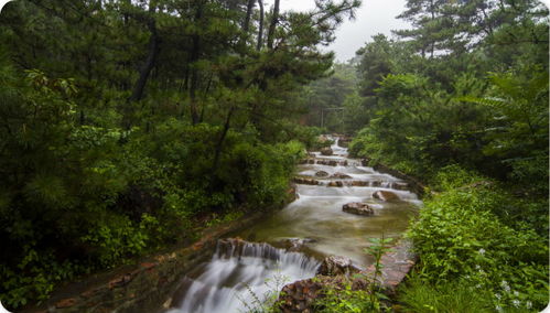 山叶口景区