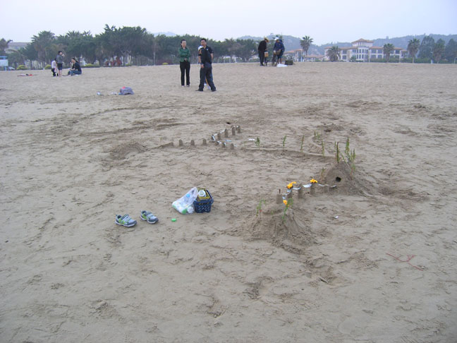 沙滩上的杰作 沙滩上的杰作