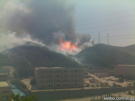 大连森林火灾 大连森林火灾