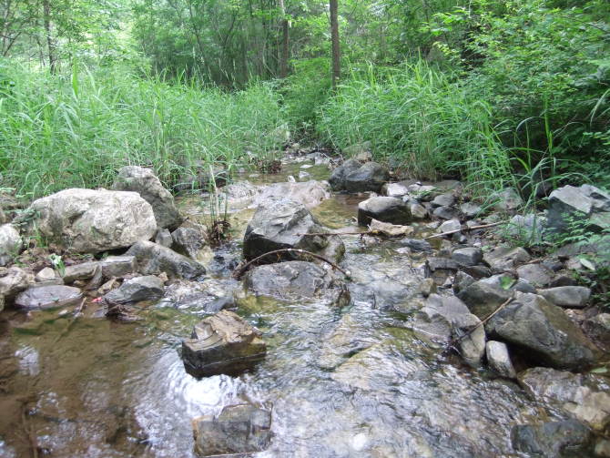 山泉水~~ 山泉水~~