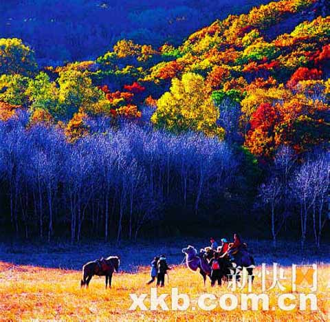 捕捉秋天的色彩 捕捉秋天的色彩