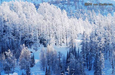 漫山雾凇奇景 摄影:于仲涛 漫山雾凇奇景 摄影:于仲涛